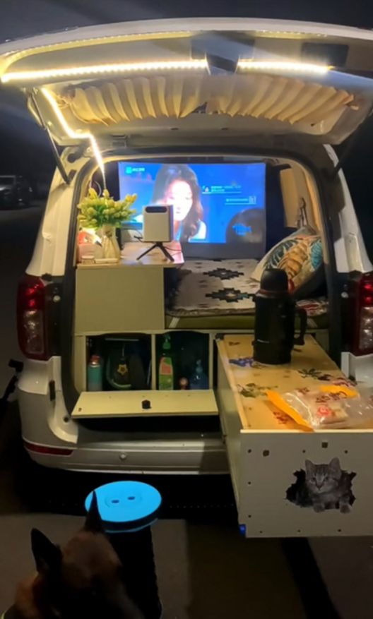 剁椒鱼头成了不买房的年轻人的新家j9九游会网址是什么三万一辆的(图7)
